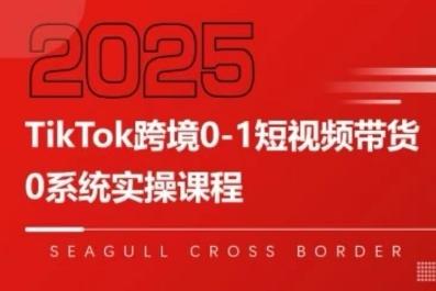 TikTok跨境0-1短视频带货,系统拆解TikTok跨境带货全链路,实现跨境可持续盈利-三零资源