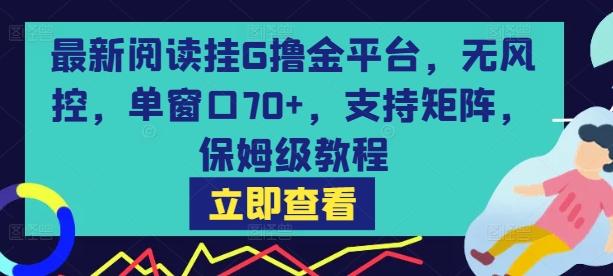 最新阅读挂G撸金平台，无风控，单窗口70+，支持矩阵，保姆级教程【揭秘】-三零资源