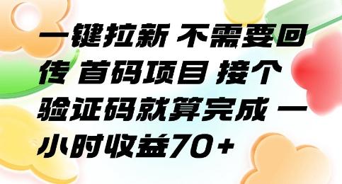 一键拉新 不需要回传 首码项目 接个验证码就算完成 一小时收益70+【揭秘】-三零资源