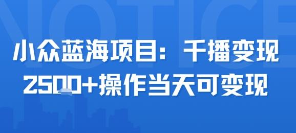 小众蓝海项目,千播变现2.5k+操作当天可变现-三零资源