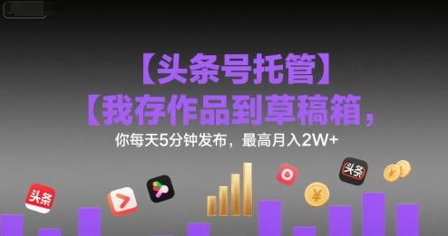 【头条号托管 】我存作品到草稿箱,你每天5分钟发布,最高月入2W+【揭秘】-三零资源