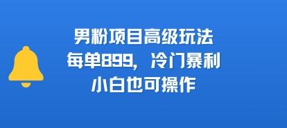 男粉项目高级玩法,每单899,冷门暴利,小白也可操作-三零资源
