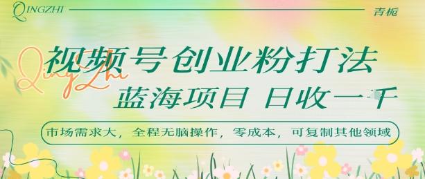 视频号创业粉打法,日入1k,蓝海项目,市场需求大,全程无脑操作,可复制-三零资源