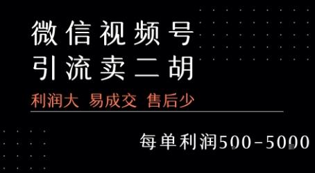 视频号卖二胡教程,利润大 易成交 售后少,一单利润5张+-三零资源