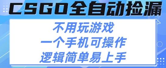 CSGO自动捡漏项目,最新独家玩法,不用挂G不用玩游戏,一个手机即可操作,新手小白轻松月入1W+【揭秘】-三零资源