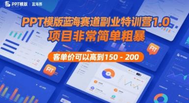 PPT模版蓝海赛道副业特训营1.0,项目非常简单粗暴,客单价可以高到150-200-三零资源