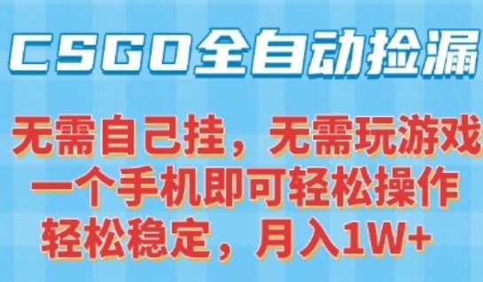 CSGO自动捡漏项目,最新独家玩法,一个手机可操作,新手小白轻松月入1W+,操作简单易上手【揭秘】-三零资源