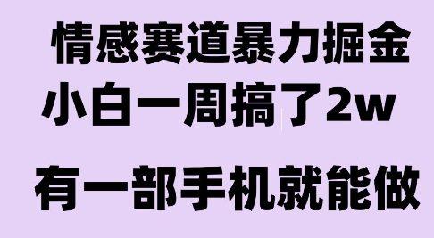 情感暴力掘金项目,新人操作一周挣了2W,长期稳定小白可做【揭秘】-三零资源