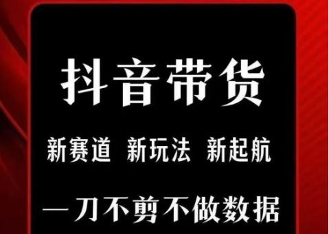 抖音短视频一刀不剪带货,不剪辑,不直播,每天发个视频,等着出单获取带货佣金-三零资源