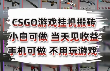 CSGO游戏挂G搬砖,小白纯手机即可操作,不用电脑打游戏,日入3张+,副业网创项目【揭秘】-三零资源