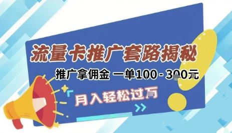 2025年外面卖1500的流量卡项目最新玩法，绿色无门槛对新手非常友好，日入3张+-三零资源