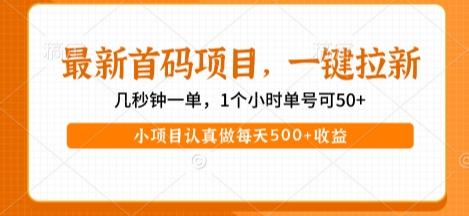 最新首码项目，操作最简单，收益高，一键拉新，1个小时单号可50+，小项目认真做每天5张+收益【揭秘】-三零资源