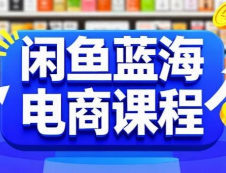 闲鱼蓝海电商课程，手把手助你快速上手，轻松实现闲鱼稳定盈利-三零资源