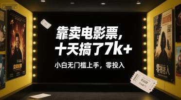 靠卖电影票,十天搞了7k+,小白无门槛上手,零投入【揭秘】-三零资源