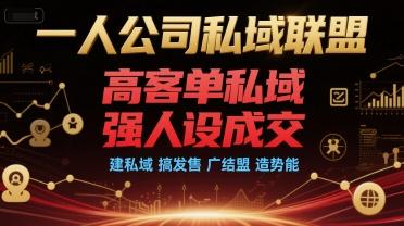 一人公司私域联盟,高客单私域,强人设成交,建私域 搞发售 广结盟 造势能-三零资源