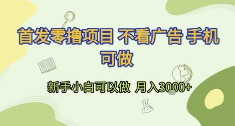 首发零撸项目 不看广告 手机可做 新手小白可以做 月入3k+【揭秘】-三零资源
