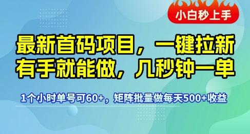 最新首码项目,一键拉新有手就能做,几秒钟一单,1个小时单号可60+,矩阵批量做每天5张【揭秘】-三零资源