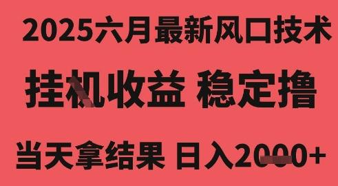 2025六月最新风口技术,无人挂G撸礼物,长期稳定 一个小时收益2k+,小白当天拿结果【揭秘】-三零资源
