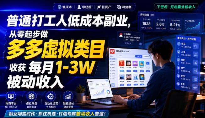普通打工人低成本副业，从零起步做多多虚拟类目，收获每月1-3W被动收入【揭秘】-三零资源