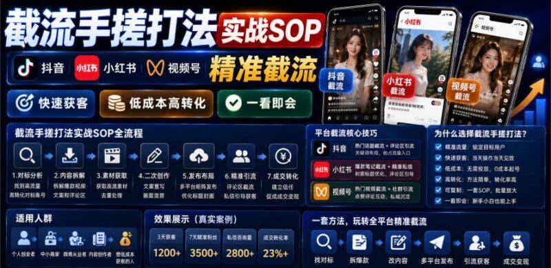 截流手搓打法实战SOP，抖音小红书视频号精准截流，快速获客，低成本高转化，一看即会-三零资源