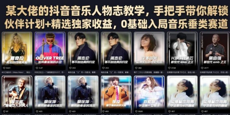 某大佬的抖音音乐人物志教学,手把手带你解锁伙伴计划+精选独家收益,0基础入局音乐垂类赛道-三零资源