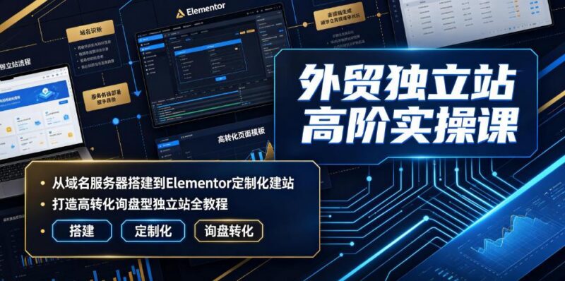 外贸独立站高阶实操课｜从域名服务器搭建到Elementor定制化建站，打造高转化询盘型独立站全教程 三零资源-三零资源