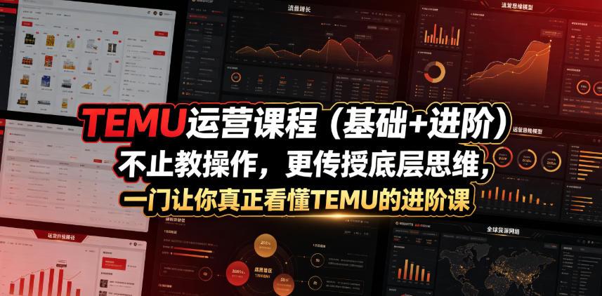 TEMU运营课程(基础+进阶),不止教操作,更传授底层思维,一门让你真正看懂TEMU的进阶课