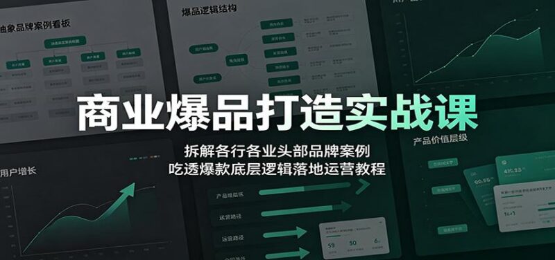 商业爆品打造实战课:拆解各行各业头部品牌案例,吃透爆款底层逻辑落地运营教程 三零资源-三零资源