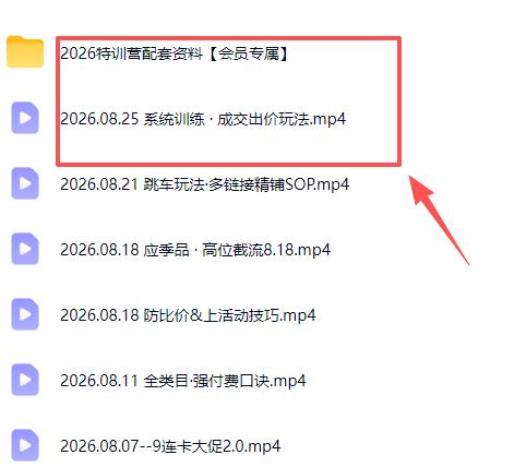 拼多多实战特训营(更新26年0827 图2