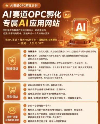 【首发】OPC一人公司项目,单日500+,手机电脑不限制,打造属于自己的品牌画布AI产品,收费陪跑【揭秘】 图3