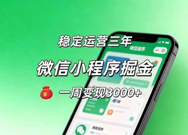 月收益稳定1W+的微信小程序,前期积累客户,后期躺平养老,小白轻松上手-三零资源