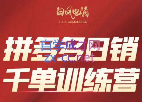 白凤电商·拼多多日销千单训练营(更新8月)-三零资源