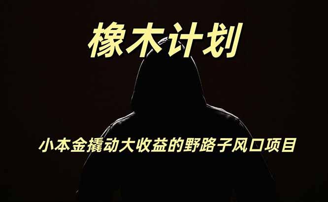 橡木计划,小投入撬动高回报的风口野路子项目,一天投入2小时左右