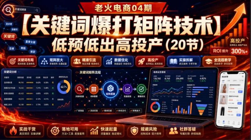老火电商04期:【关键词爆打矩阵技术】低预低出高投产(20节) 三零资源-三零资源