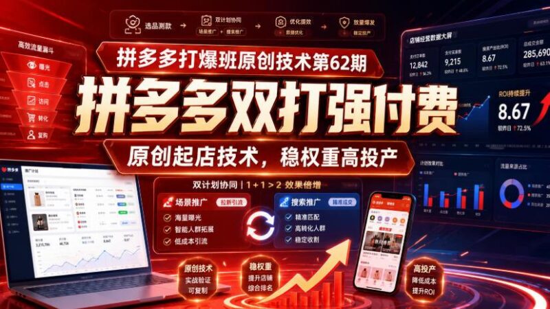 拼多多打爆班原创技术第62期,拼多多双打强付费,原创起店技术,稳权重高投产 三零资源-三零资源