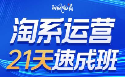 白凤电商·淘系运营21天速成班(更新7月)-三零资源
