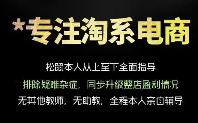 松鼠会电商VIP课程,从基础布局到高阶优化,助你掌握淘宝运营逻辑,提升店铺流量与转化(更新0815)-三零资源