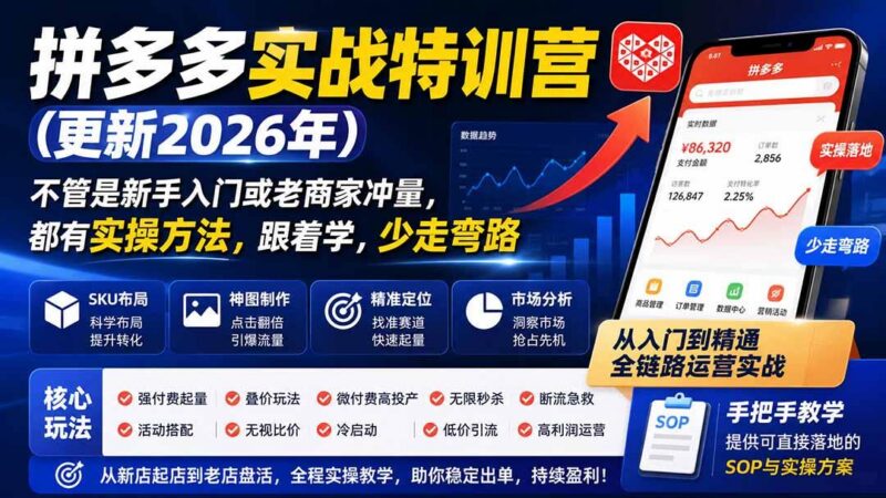 拼多多实战特训营(更新26年0821-三零资源