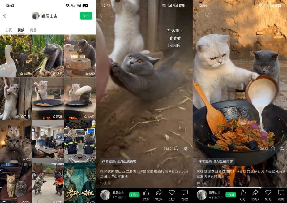 猫咪慢生活短视频教学,AI搞笑萌宠赛道,视频号分成+精选独家+伙伴计划+商单收徒等多种变现方式 图1
