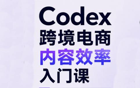 Codex跨境电商内容效率入门课-三零资源