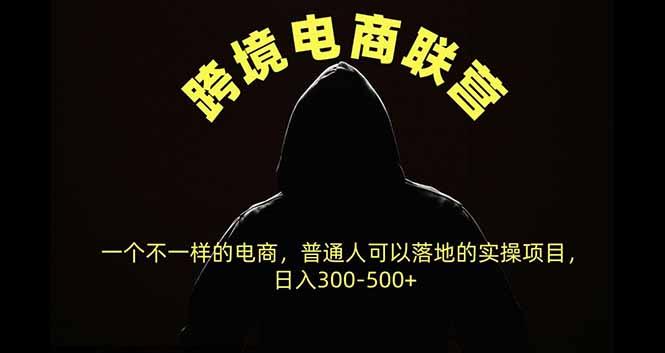 跨境电商联营，一个不一样的电商，普通人可操作日入300-500+ 三零资源-三零资源
