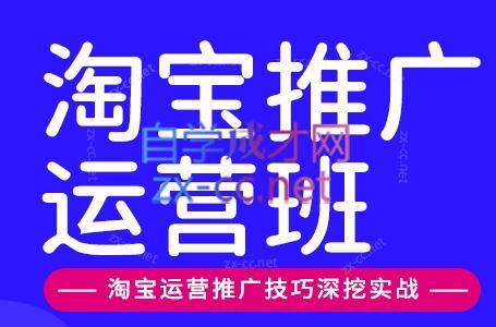 美迪电商·淘宝高级运营班+推广运营班(更新9月)-三零资源