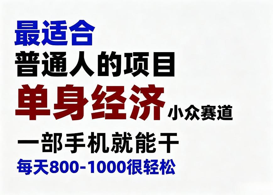 身经济小众赛道,一部手机就能干,每天搞个800-1000很轻松,最适合普通人的项目【揭秘】