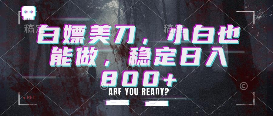 白嫖美刀，小白也能做，稳定日入800+
