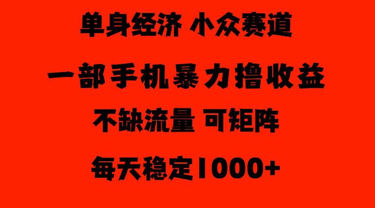 26年暴力单身经济,稳定日入500-1k,不缺流量,流量极大,冷门小众赛道,门槛低小白轻松上手【揭秘】 图1