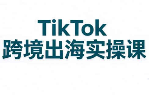 彭老师·TikTok跨境出海实操课 三零资源-三零资源