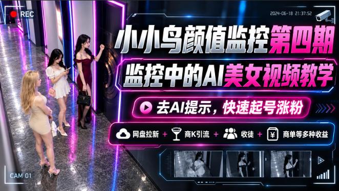 小小鸟颜值监控第四期，监控中的AI美女视频教学，去AI提示，快速起号涨粉，网盘拉新+商K引流+收徒+商单等多种收益 三零资源-三零资源
