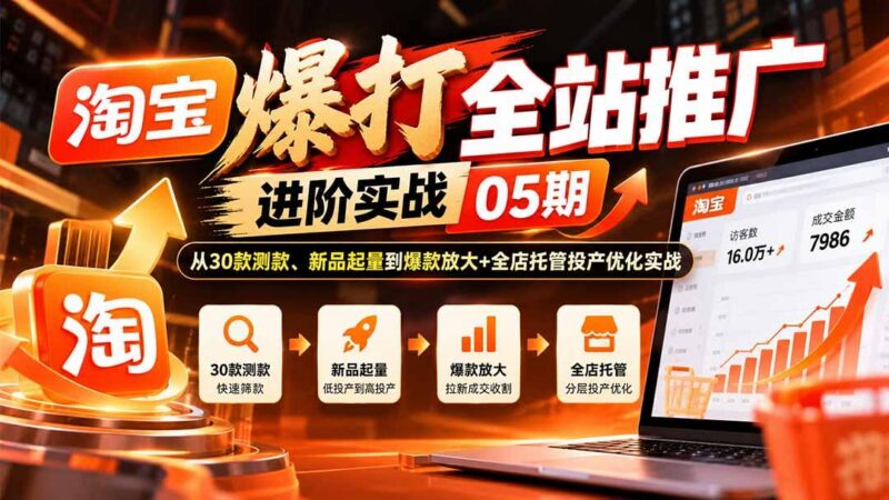 淘宝爆打全站推广进阶实战05期：从30款测款、新品起量到爆款放大+全店托管投产优化实战-三零资源