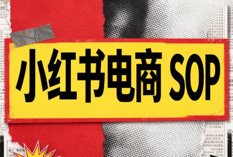 书豪必胜小红书电商sop(更新9月)-三零资源