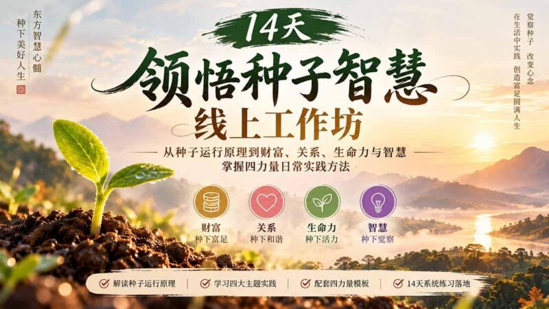14天领悟种子智慧线上工作坊|从种子运行原理到财富、关系、生命力与智慧,掌握四力量日常实践方法-三零资源
